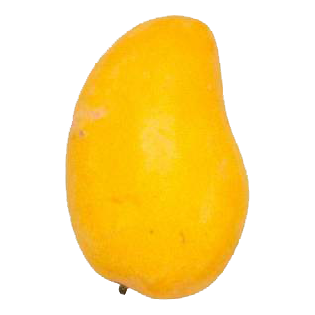 Mangos Chiapas Logo